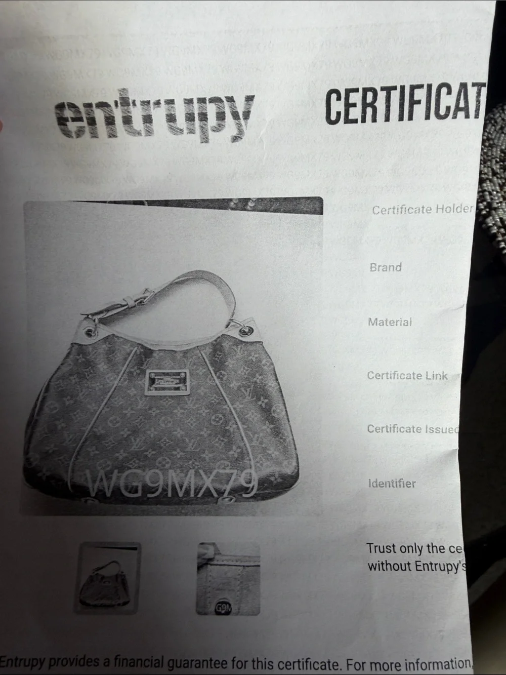 Louis Vuitton Galleria Monogram Canvas Shoulder